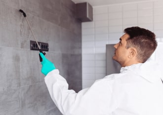 Скидка до 50% на коллективные обработки помещений и участков.